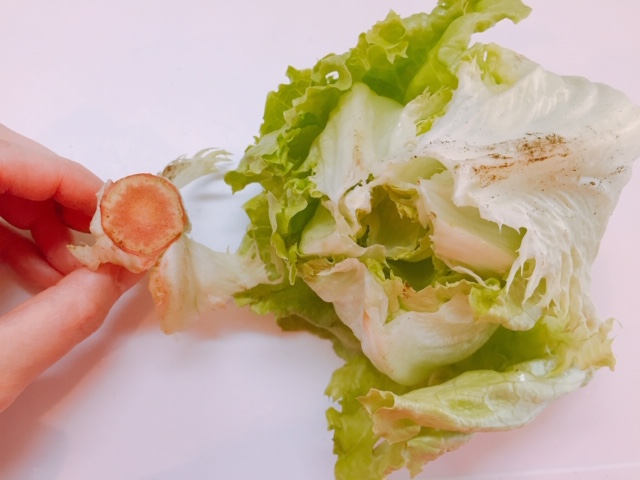 ^X@cʂ
