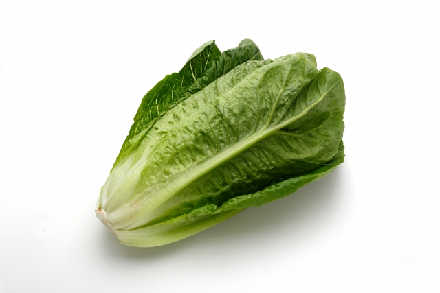 ꂽ^X
